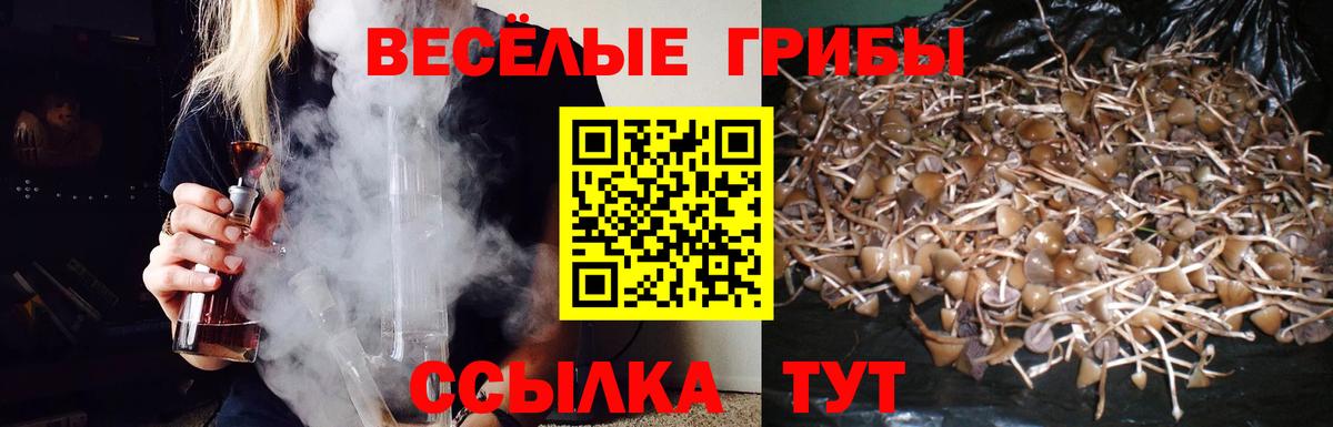 Галлюциногенные грибы Psilocybe  Вход с VPN  Барнаул 